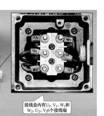 科瑪森細石混凝土泵技術(shù)分享之三相異步交流電機接線